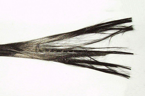 碳纤维板刮了能修复嘛?