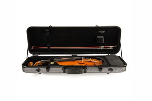 500元的碳纤维琴盒是真的吗?